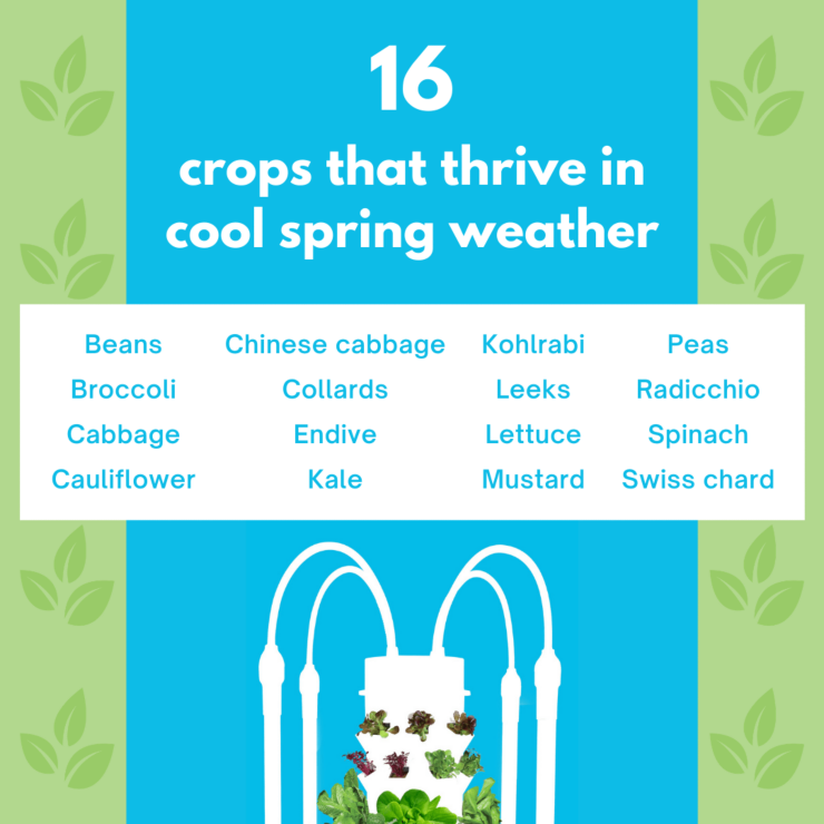 When Is The Best Time To Start Your Garden? Tower Garden